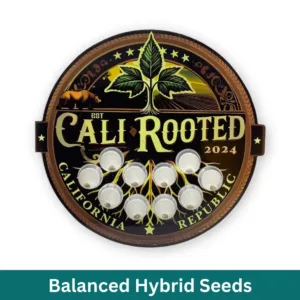 Balanced Hybrid Feminized Seeds
