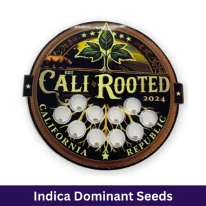 Indica Dominant Feminized Seeds