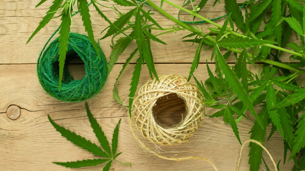 Hemp leaves and natural fiber twine on wood